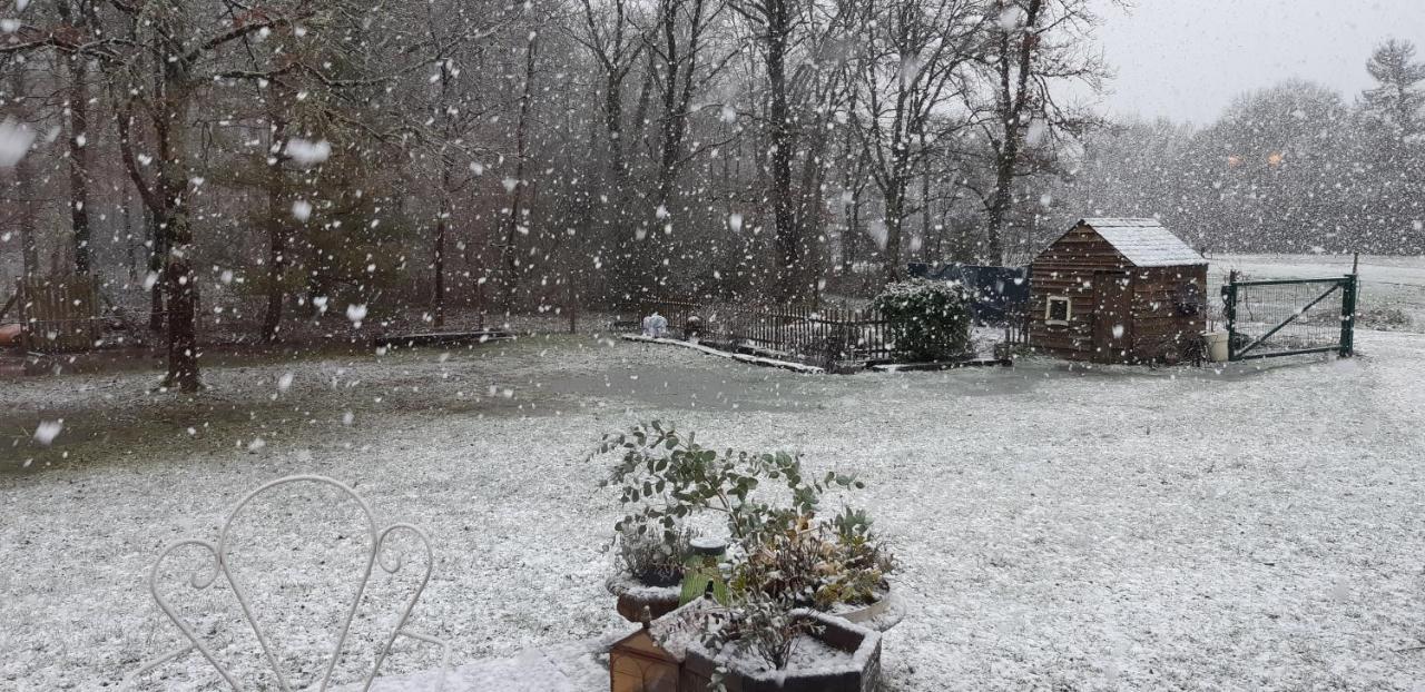 La Maison Bois Chaon Kültér fotó